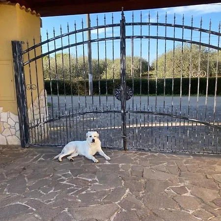 בית חווה Pedrosu *